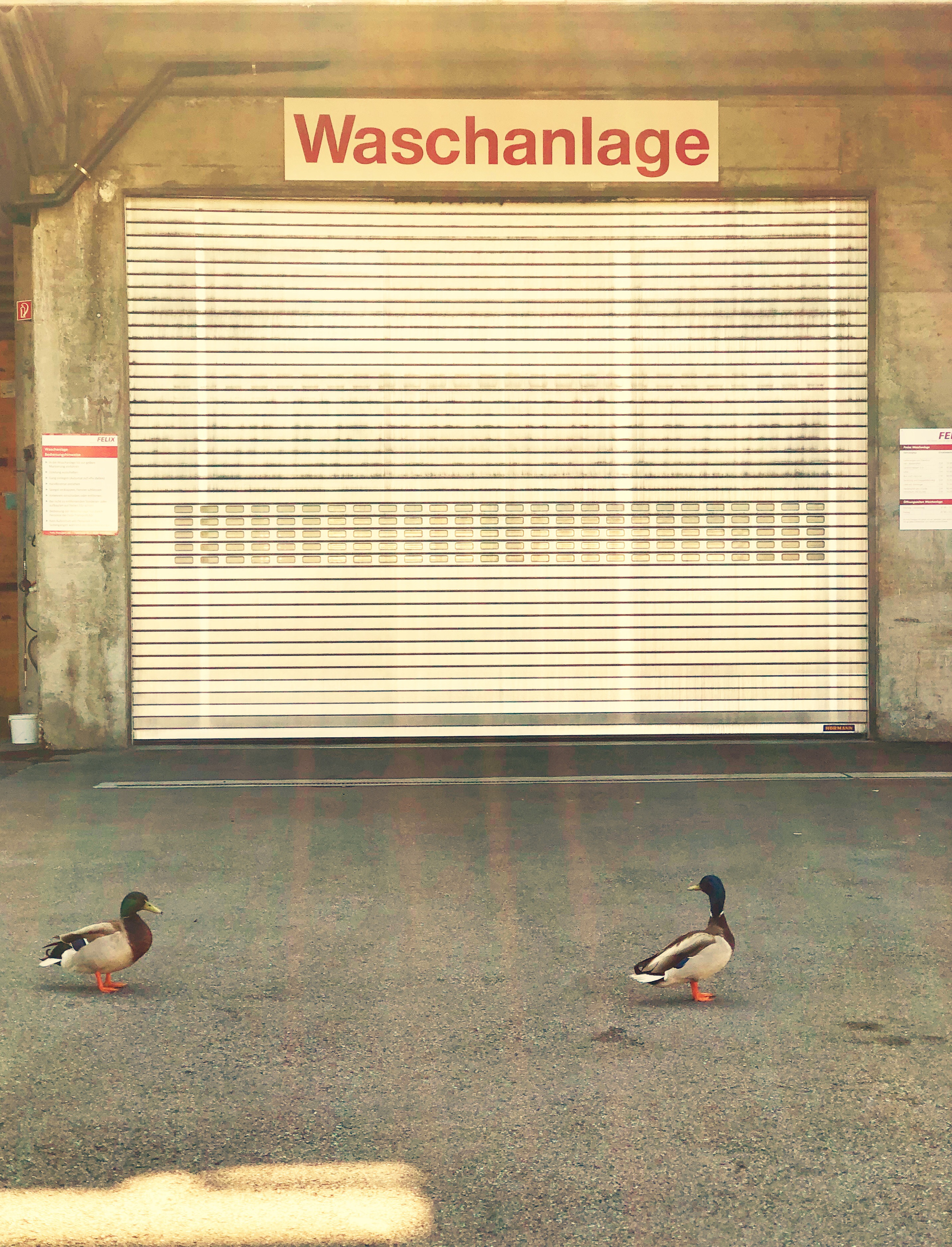 Waschanlage Zwingen vom 04.-11. Juni 2026 geschlossen